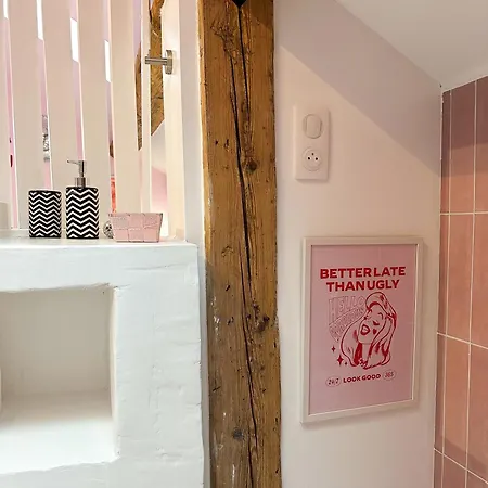 公寓 Disco Paradisio 塞莱斯塔